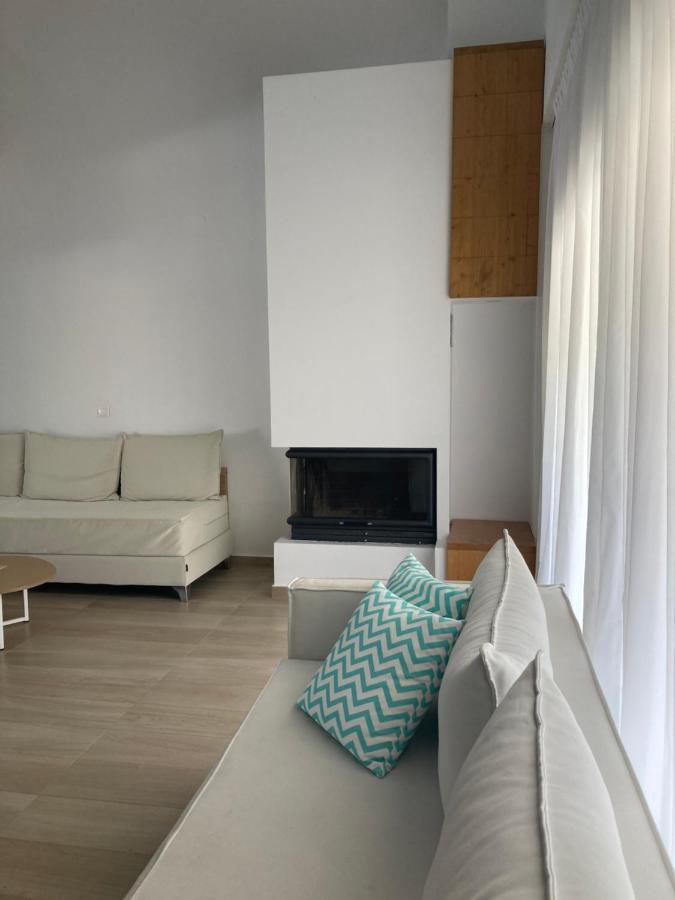 Aristotelia Gi Ikies - Olympiada Poolside Retreats Exterior foto