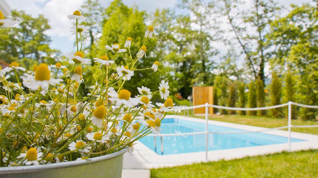 Aristotelia Gi Ikies - Olympiada Poolside Retreats Exterior foto