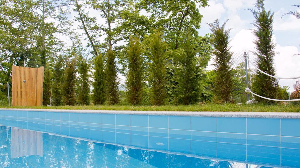 Aristotelia Gi Ikies - Olympiada Poolside Retreats Exterior foto